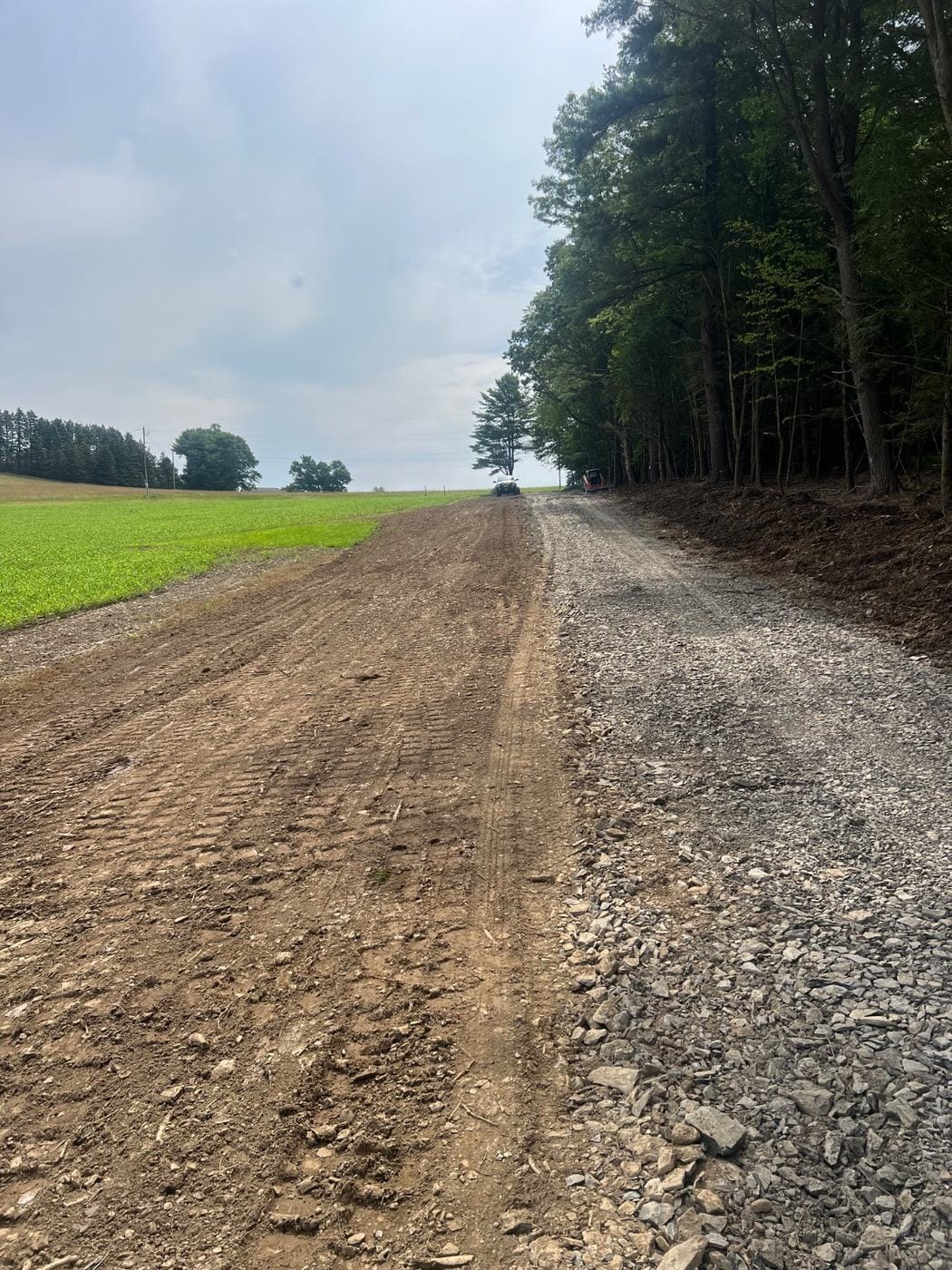 A graded road bed between a field and the woods.