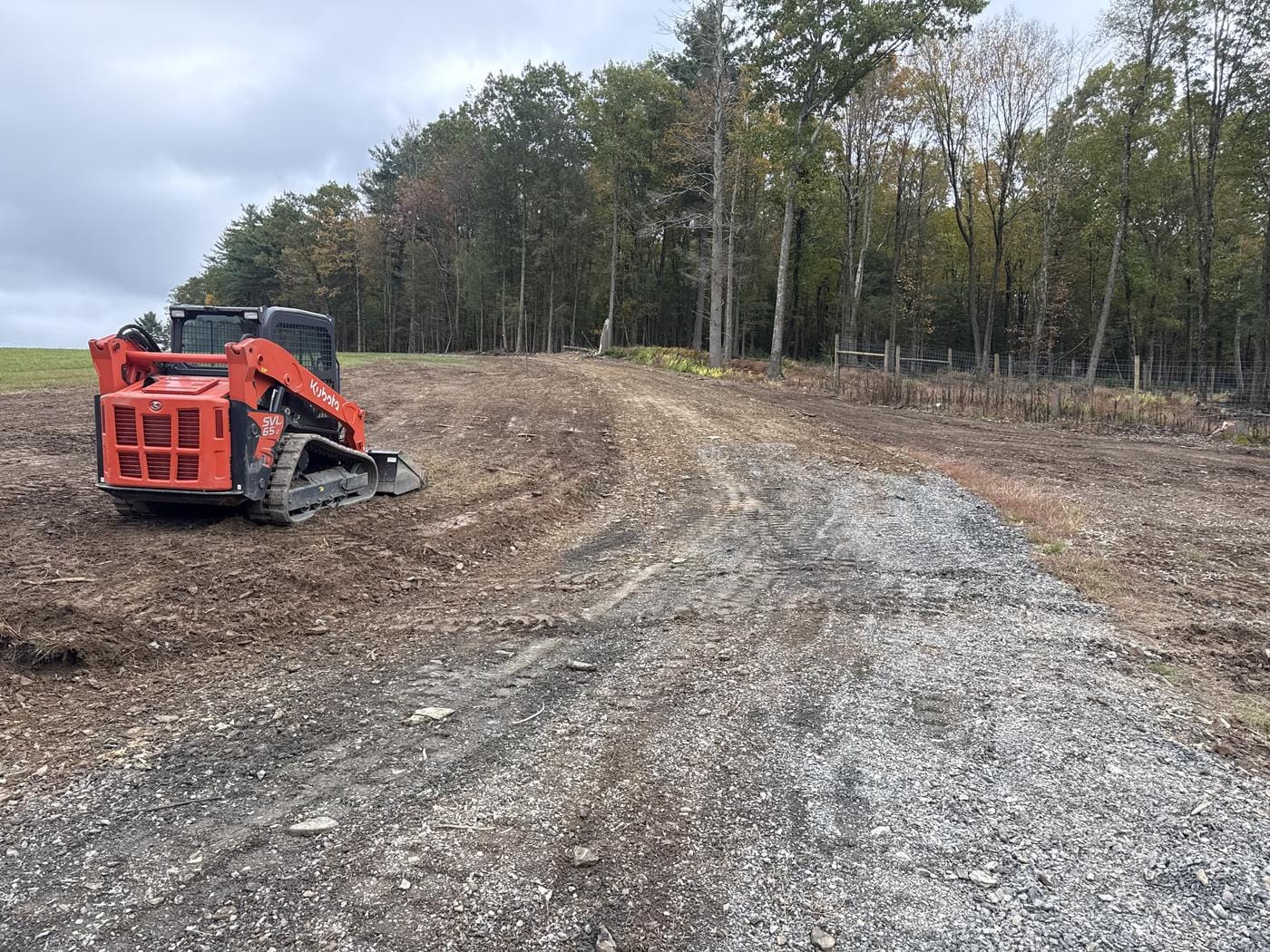 A track loader on a fresh cut beside the woods.