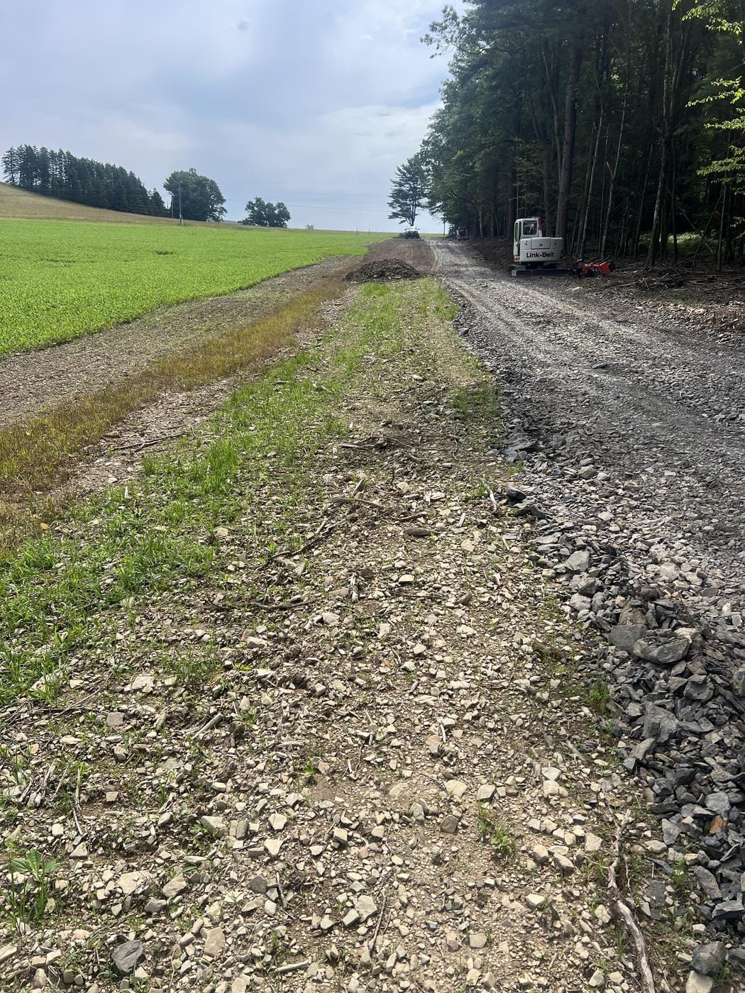 A new stone road running between a field and the woods.